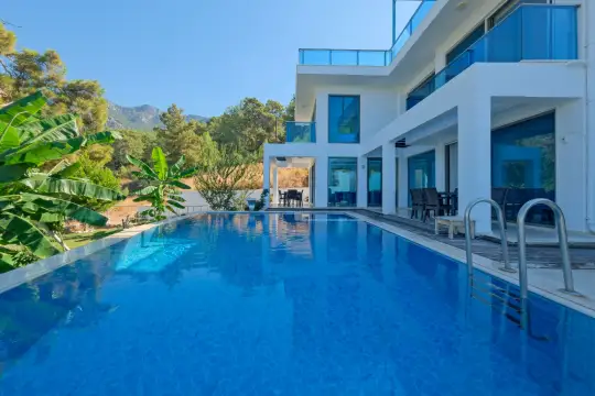 Villa Daim - Ege, Muğla, Fethiye, Faralya - Villa fotoğrafı 2