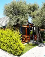 Bungalov 1043 - Akdeniz, Antalya, Kaş, Merkez - Fotoğraf 3